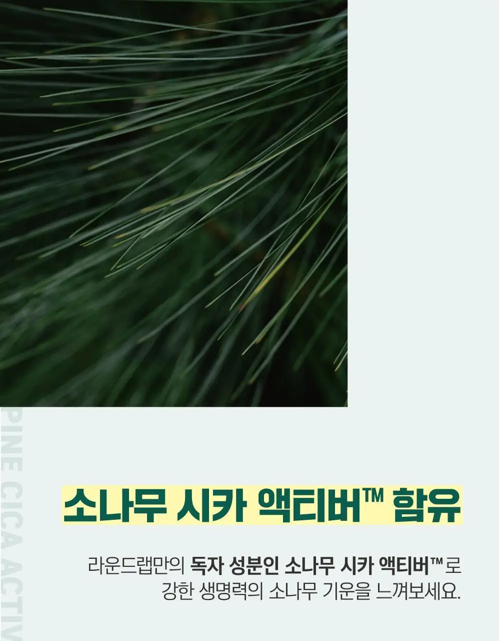 [집중진정] 라운드랩 포 맨 소나무 진정 토너/크림 2종 기획 (+클렌저 40ml or 토너 300ml 기획) 상세페이지 27